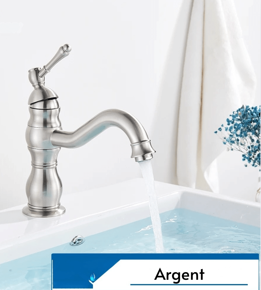 Robinet Salle de Bain - Vintage Petit Argent